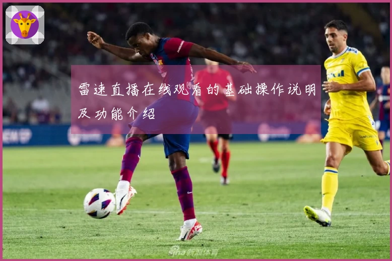 雷速直播在线观看的基础操作说明及功能介绍