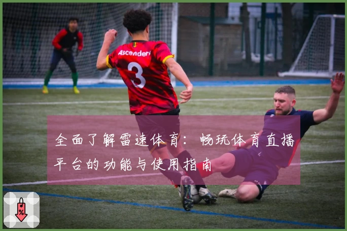 全面了解雷速体育：畅玩体育直播平台的功能与使用指南