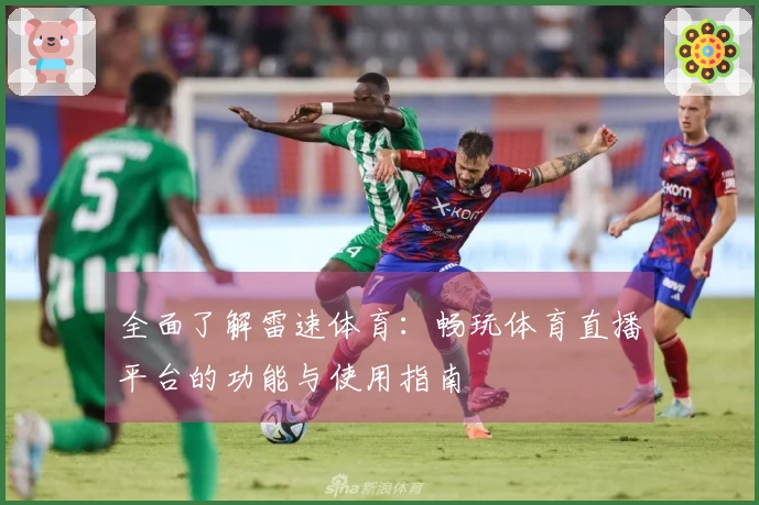 全面了解雷速体育：畅玩体育直播平台的功能与使用指南